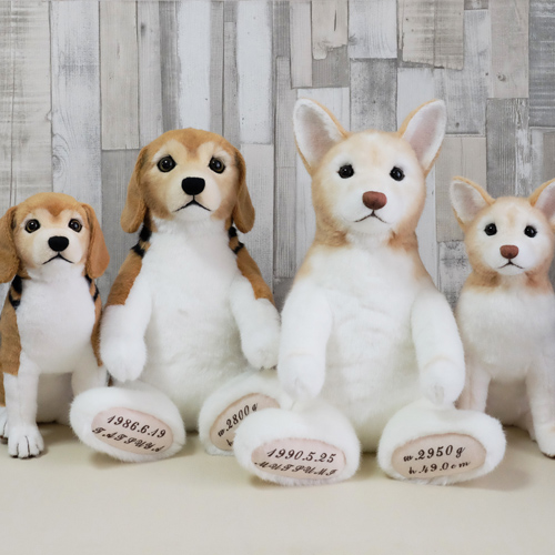 ウェイトドッグ ビーグルのぬいぐるみ 愛犬そっくりの人形