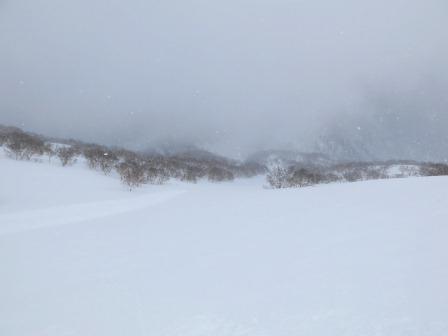 IMG_0345.JPG