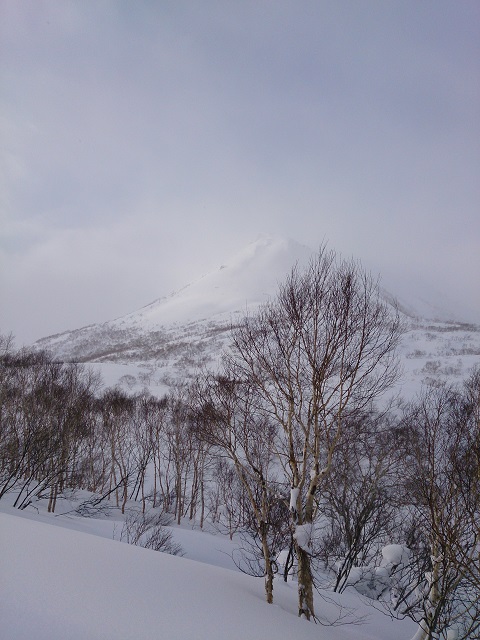 DSC_3972.jpg