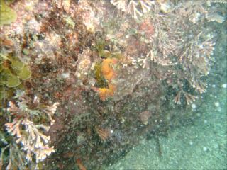 DSCF2491_R.JPG
