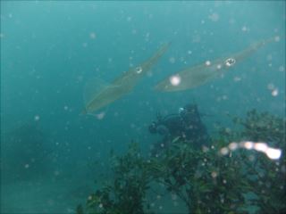 DSCF2492_R.JPG
