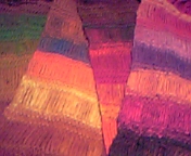 20051207_80083.jpg