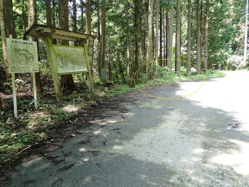 邑南町 三滝