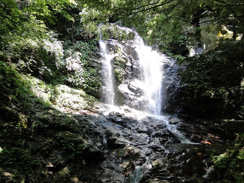 邑南町 青笹観音滝 Aozasa kannon waterfall