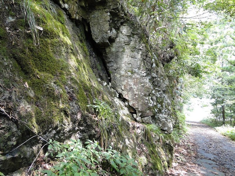 邑南町 鬼の木戸 oni no kido waterfall