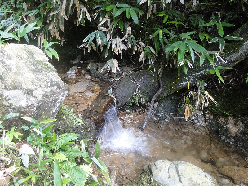 邑南町 田所地区 観音滝 kannon waterfall