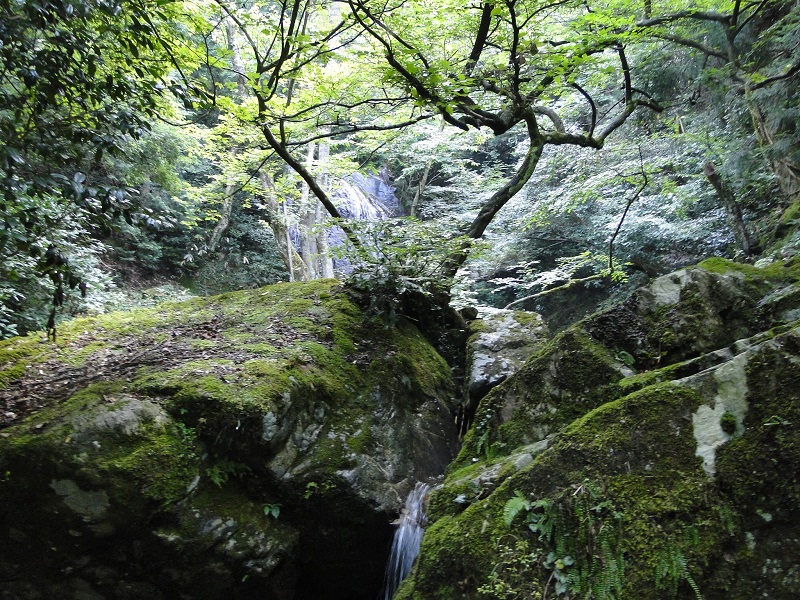 邑南町 天蔵滝 amakura waterfall