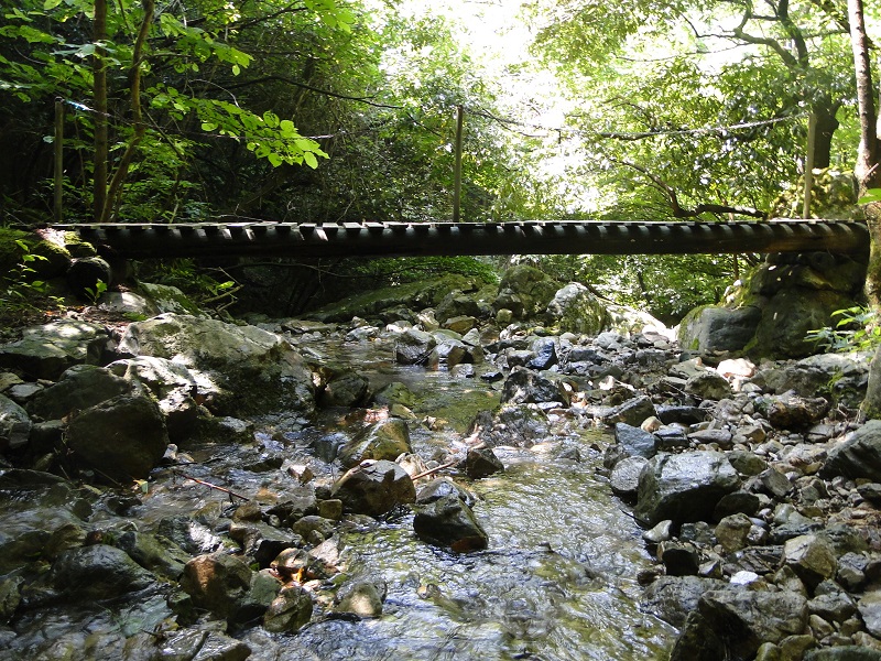 邑南町 天蔵滝 amakura waterfall