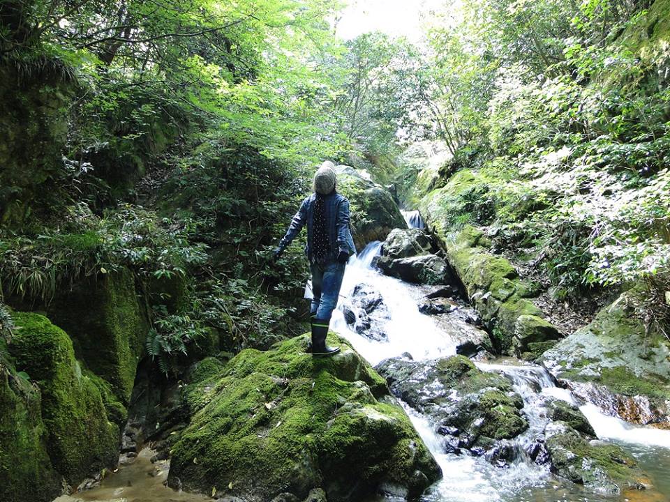 邑南町 日和 蜘蛛居滝