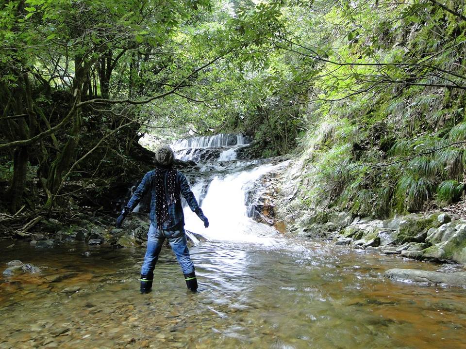 邑南町 臼谷 三段岩