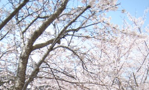 2010