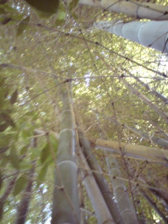 20100728124624.jpg