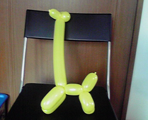 31.jpg