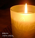 ¥¦¥¤¥ó¥É¥Ð¡¼¥É ¡¡¥¤¥é¥ó¥¤¥é¥ó