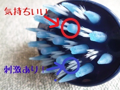 シャンプーブラシ