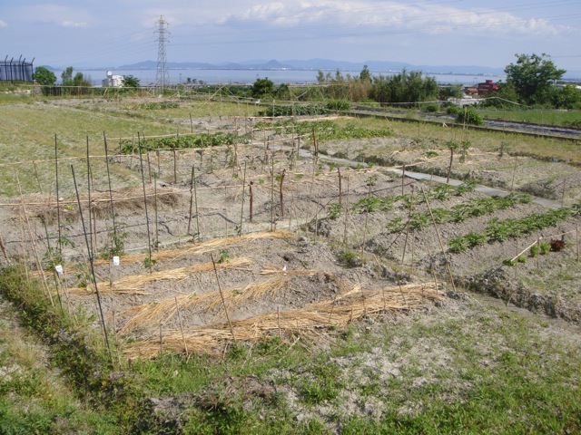 DSC08551.jpg