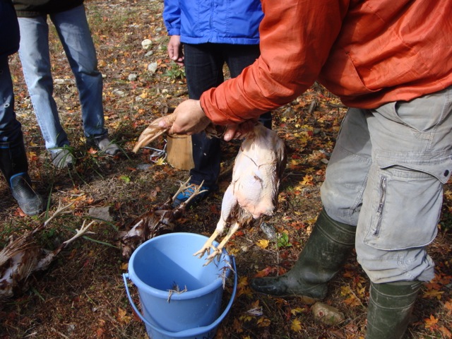DSC05360.jpg