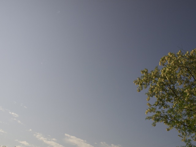 P5218295.jpg