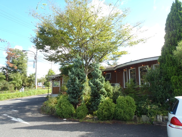 P9118390.jpg