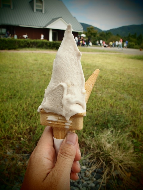 PA078900.jpg