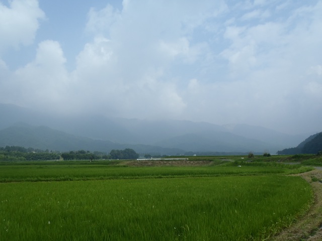 P7280257.jpg