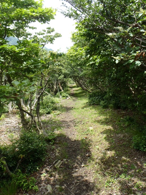 P7280273.jpg