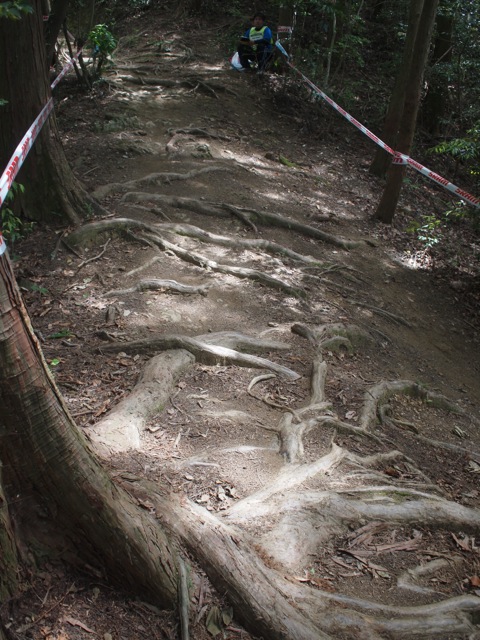 P5252900.jpg