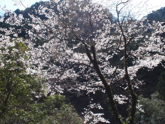 P3275695.jpg