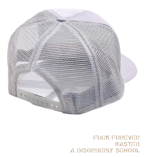 wasted-cap-gray-back.jpg