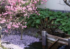 沼部