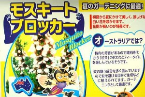 【電気を使わない自然の虫よけ】モスキートブロッカー2鉢セット