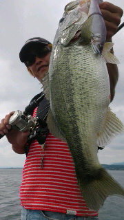2014090422380000.jpg