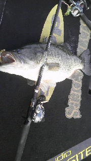 2014092517380000.jpg