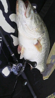 2014092517530000.jpg