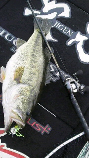 2015022315350000.jpg