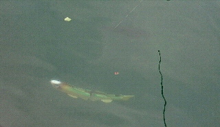 2016042721370000.jpg