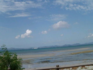 20080831140401.jpg
