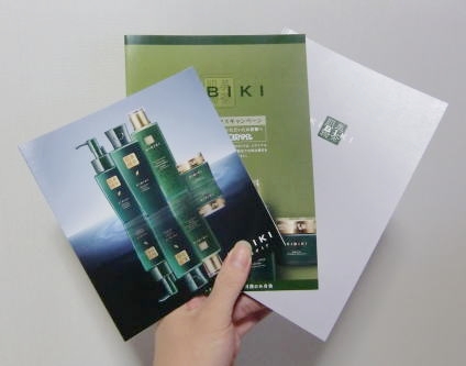 kibiki-panfu-a01