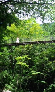 20100818132133.jpg