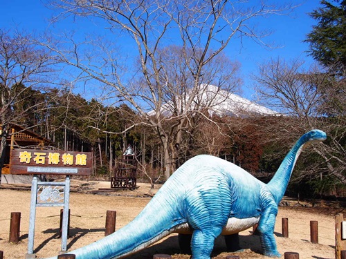 静岡 奇石博物館