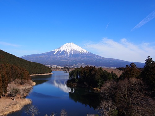 富士休暇村