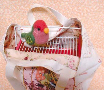 キャリーとコザクラ
