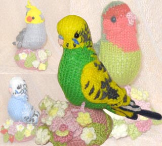 メリアスインコ
