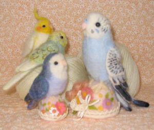 k羊毛インコ
