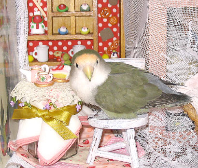 お茶みるきー