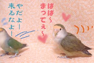 みるきーとパパ