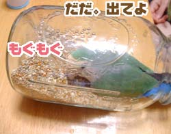 だだとエサのビン