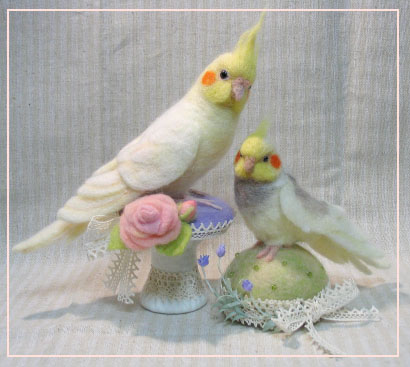 羊毛インコ_オカメたち