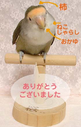 感謝みるきー