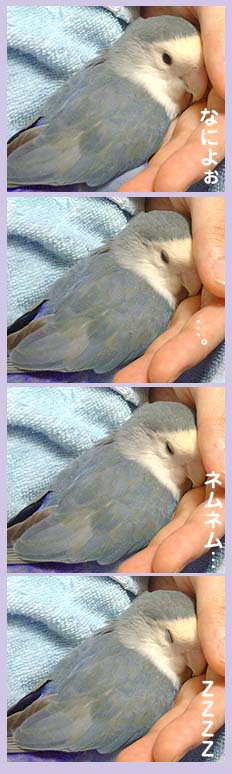 すみれネムネム